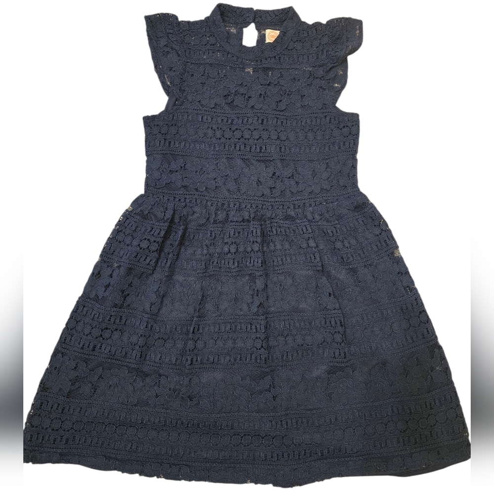 Wonder Nation Navy Blue Girl Mock Neck Lace Dress